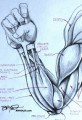 Right Arm Sketching