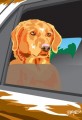Irish Setter Dog