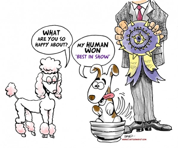 Westminster BEST IN SHOW Winner Cartoon