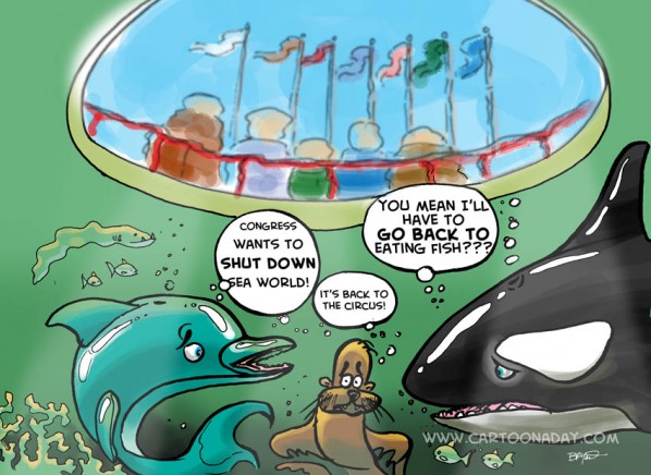 Congress Sinks Sea World