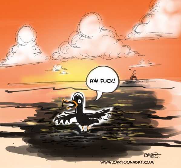 oil slick gulf duck