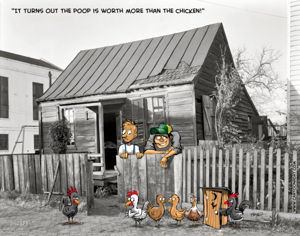 OldHouse_chickenpoop tin roof