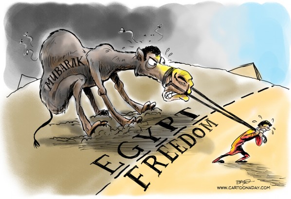 mubarak-camel-political-cartoon