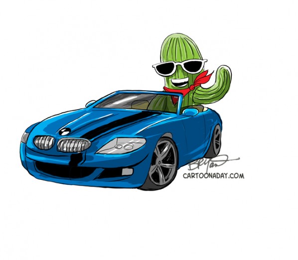 cactus-driving-bmw-convertible