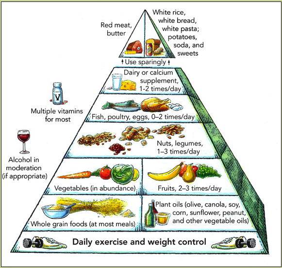 Healthy+food+pyramid+cartoon