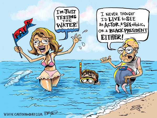 palin-testing-the-waters-cartoon