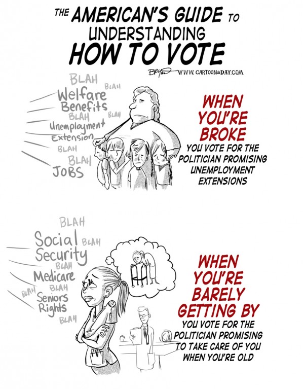 how-to-vote-guide-economy-cartoon-a