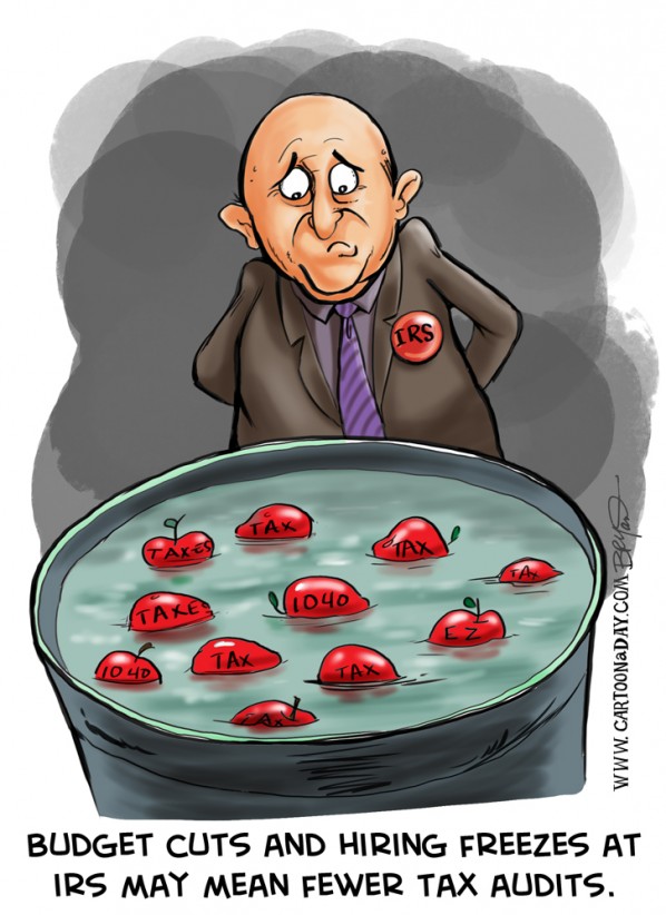 Irs Taxes Cartoon Tax Audit