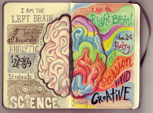 Left Brain Right Brain Illustration