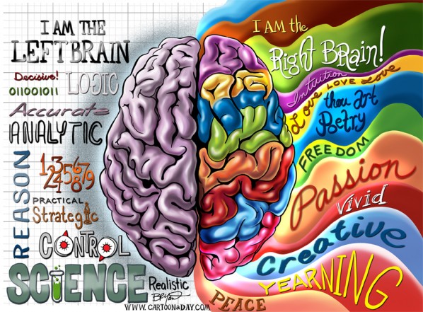 Lateralization of brain function   wikipedia