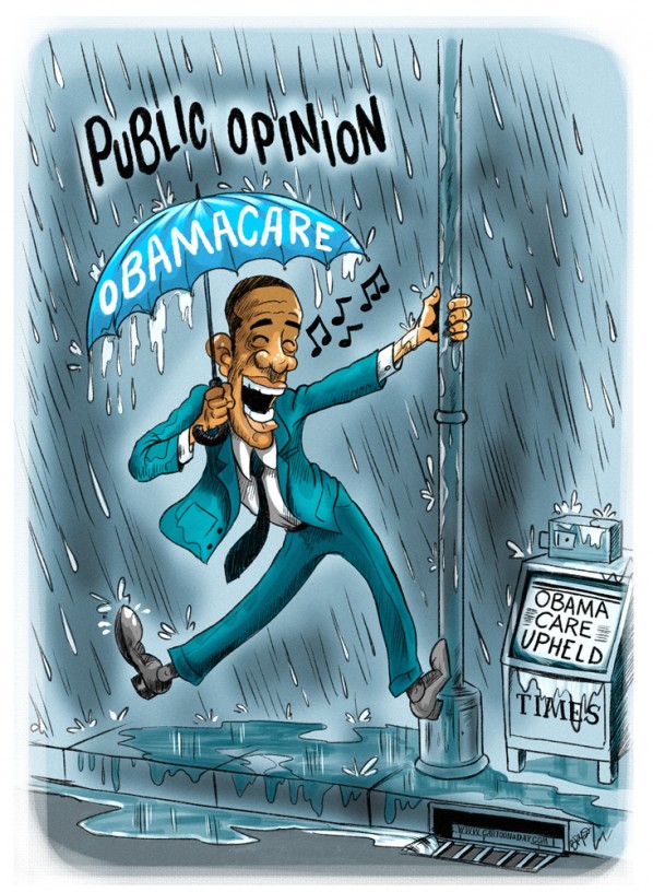 Best Obamacare-Healthcare Law Upheld Cartoon