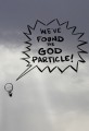 We've Found the God Particle 