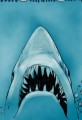 Shark Week Begins Tonight as Olympics Conclude