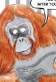 Apps For Apes
