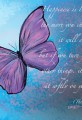 Happiness is Like a Butterfly