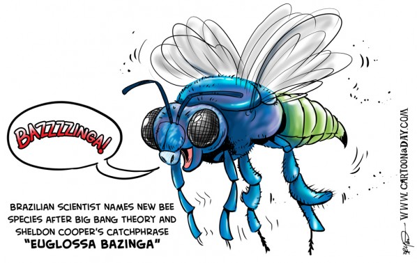 bazinga-bee-big-bang-cartoon