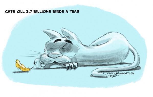 cats-kill-3-7-billion-birds