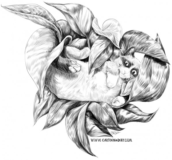 luna-tuna-cat-sketch
