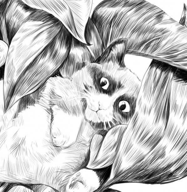luna-tuna-cat-sketch-closeup
