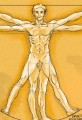 Vitruvian Man cartoon