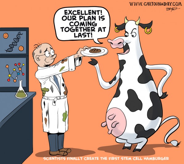 stem-cell-hamburger-cartoon