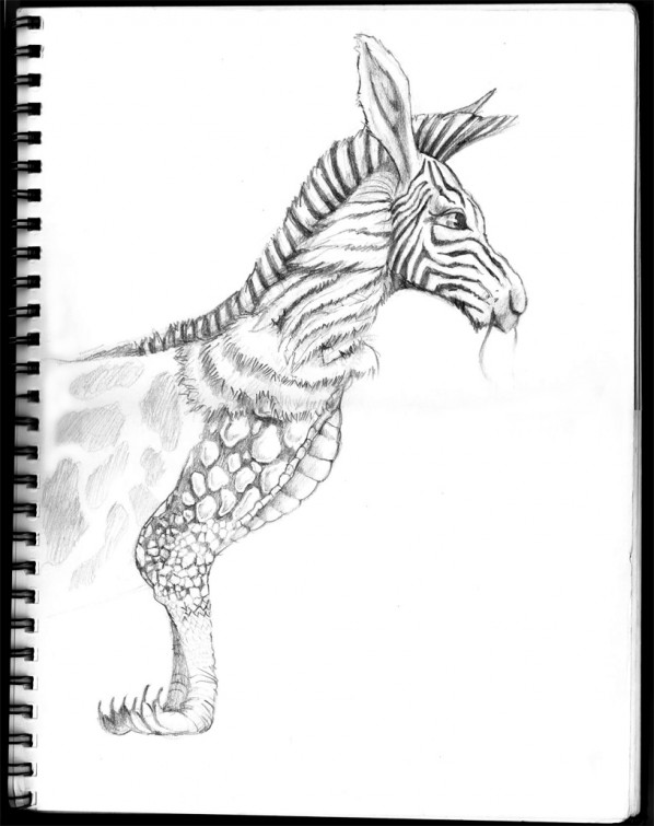 hybrid-animl-drawing-bw