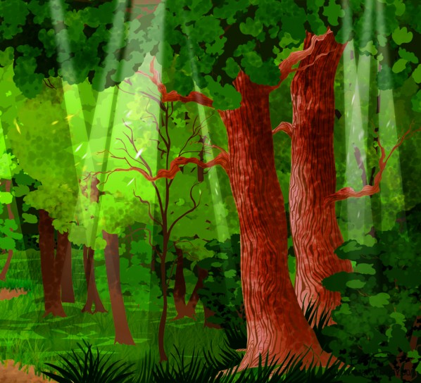 background-forest2