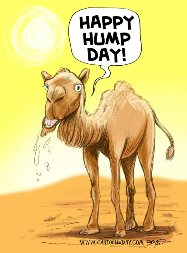 Happy Hump Day Camel on Wednesday. 