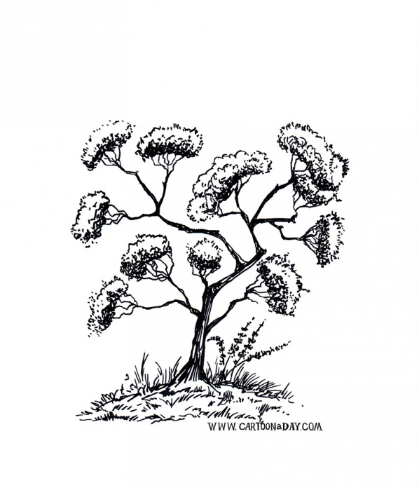 bush-tree-variation-ink-