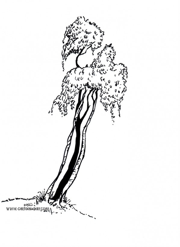 bush-tree-ink-sketch-black