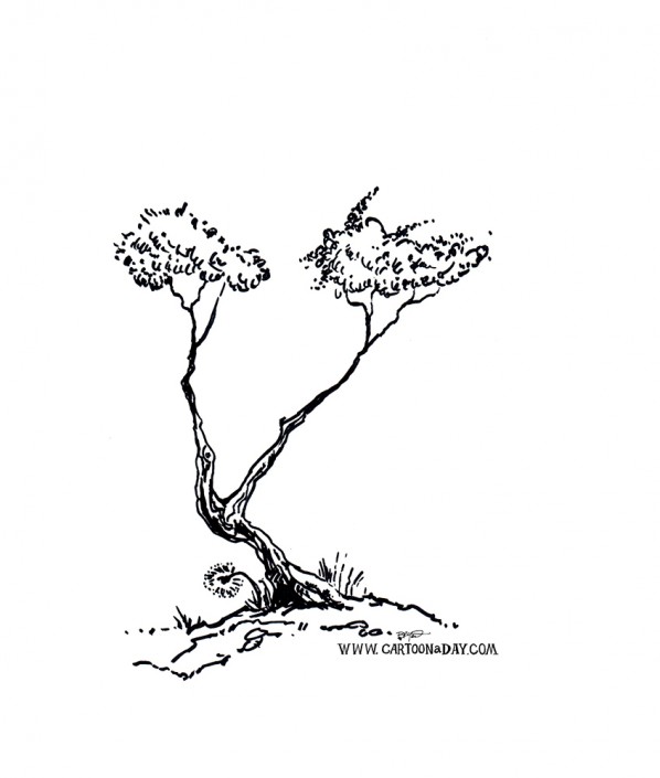 bush-tree-variation-ink-sketch