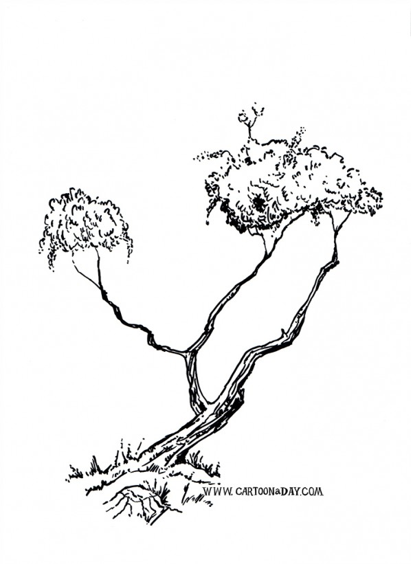 bush-tree-variation-ink-sketch-black
