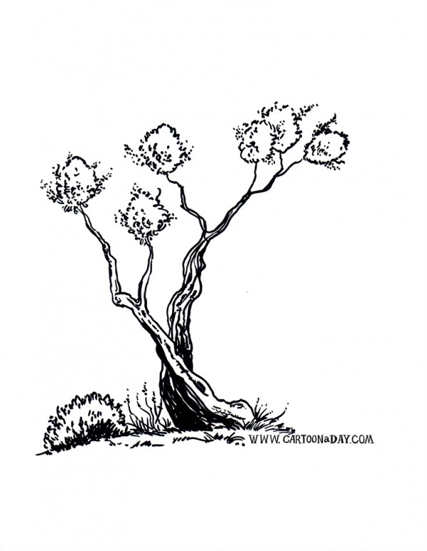 twiggy-bush-variant-orange