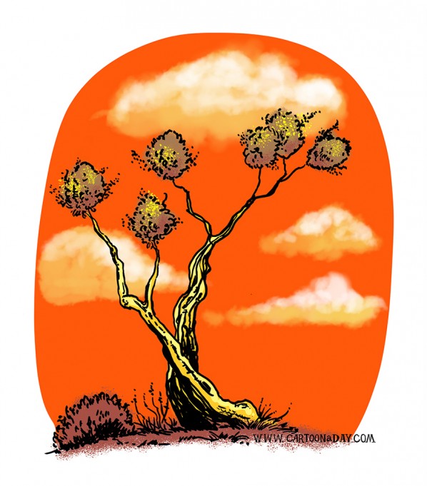 twiggy-bush-variant-orange-color