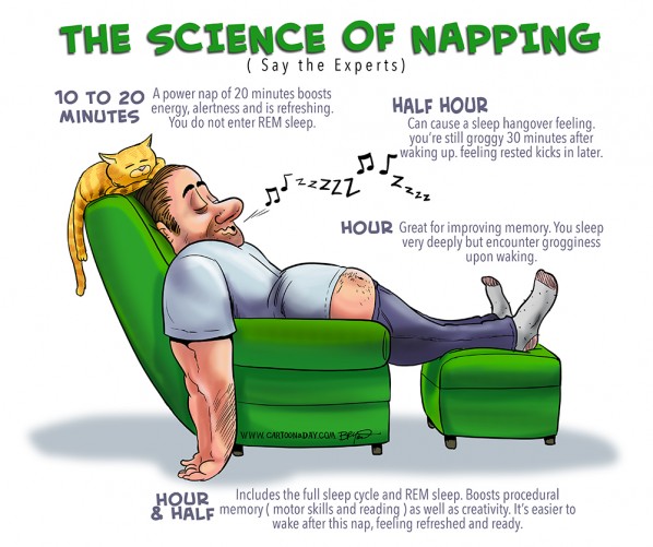 The Science of Napping ❤ Cartoon « Cartoon A Day The Science of Napping ❤ Cartoon « Cartoon A Day