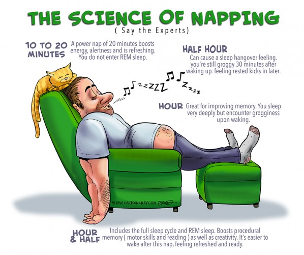 science-of-napping