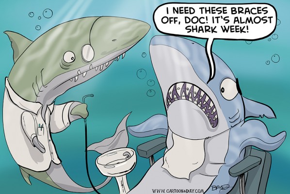 shark-week-cartoon-dentist