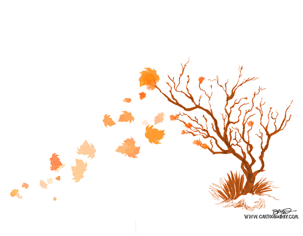 fall-tree-falling-leaves