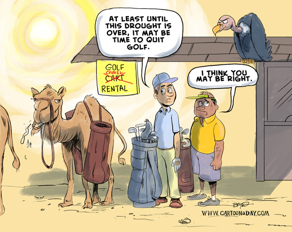 golf-drought-cartoon-camel-598