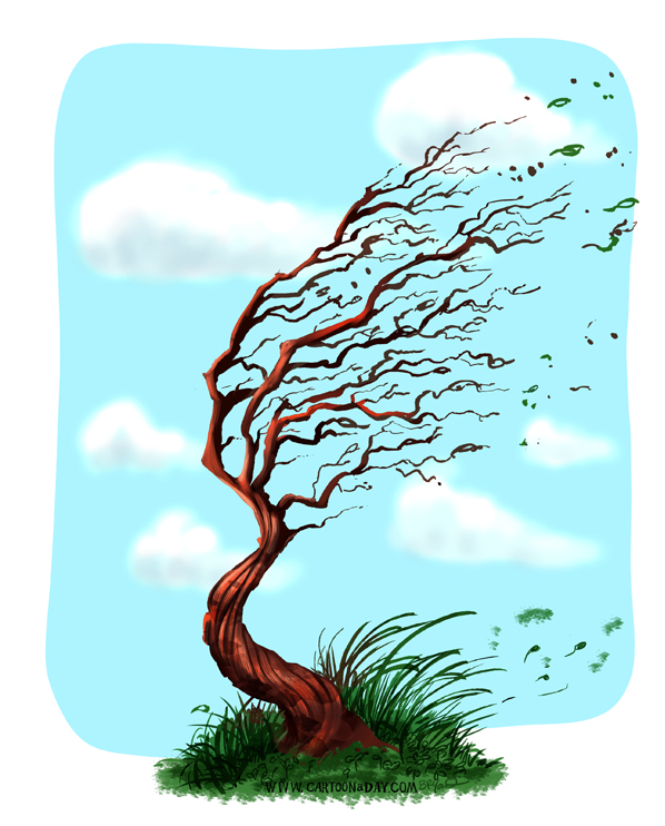 marker-trees-blue-sky-windy-598