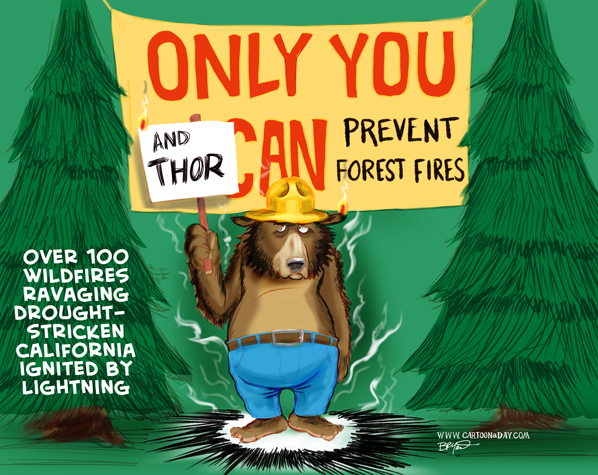 bear-prevent-forest-fires-cartoon-598