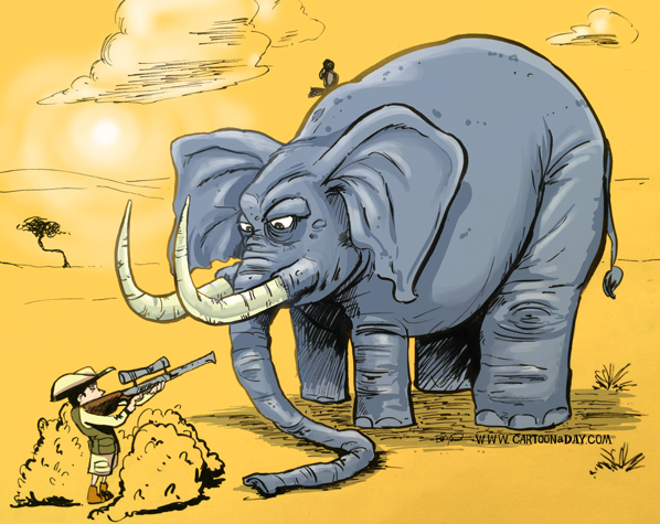 largest-elephant-hunted-598