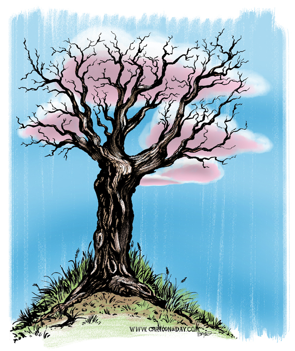 rough-naked-tree-fnl-598