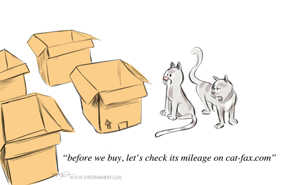 cats-shopping-box-cartoon-598