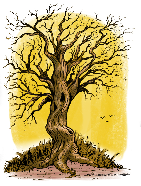 old-tree-sketch-598