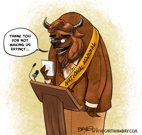 buffalo-national-mammal-cartoon-598
