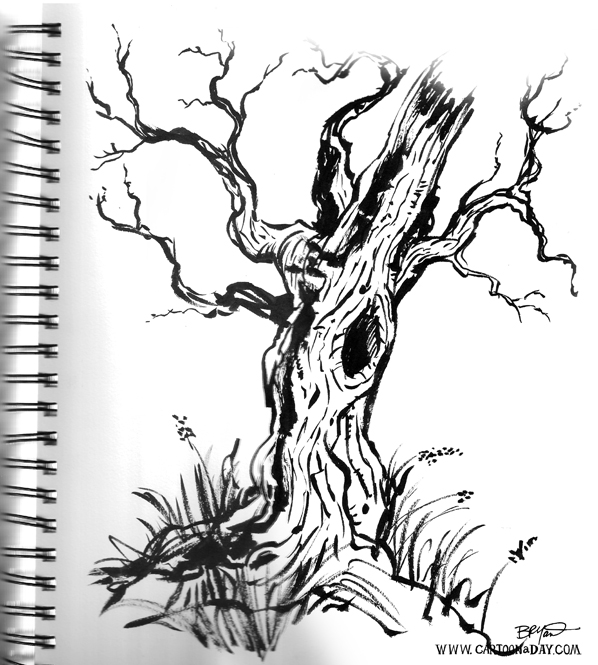 hiking-sketchbook-tree-598