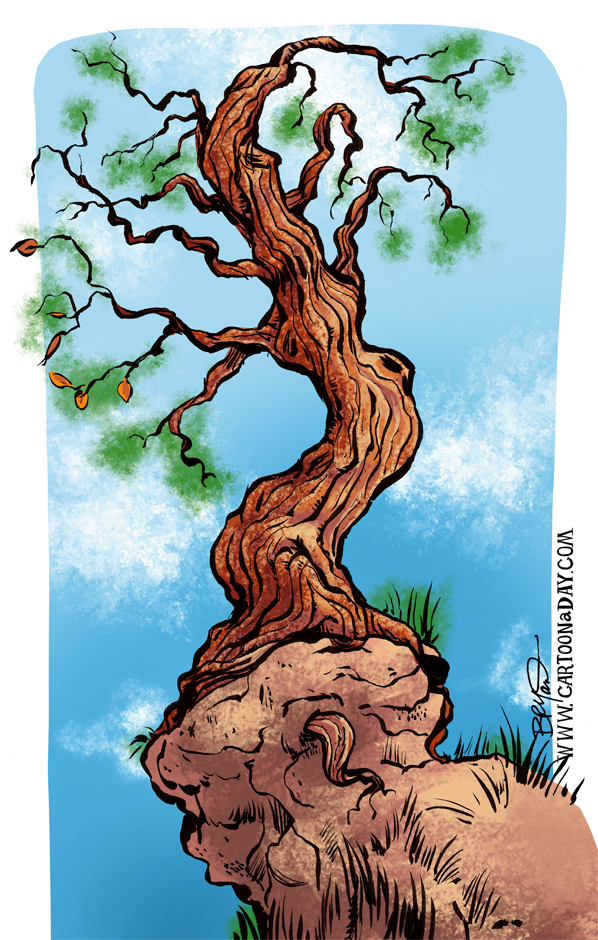 old-gnarly-tree-sketch-cartoon-598