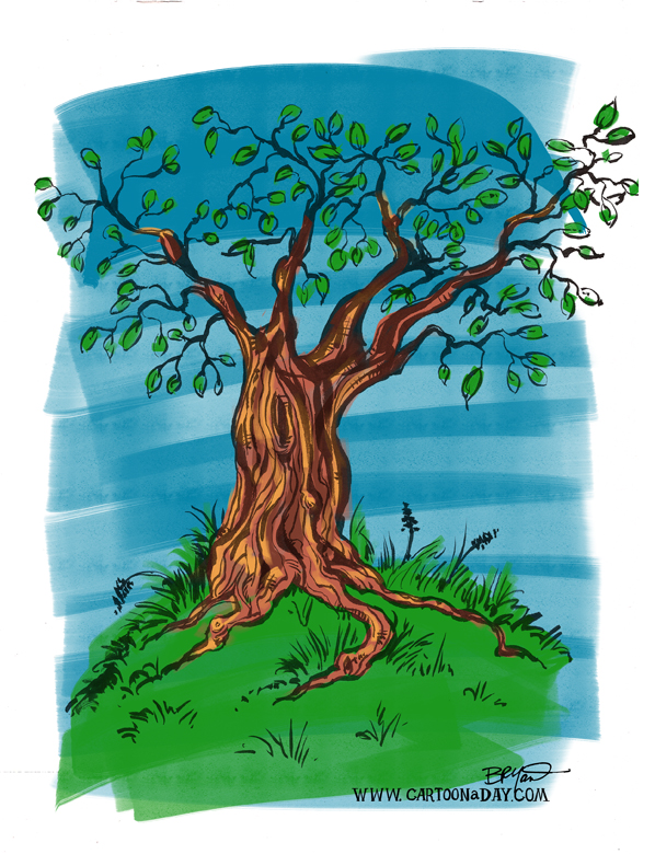 sketchy-tree-watercolor-598