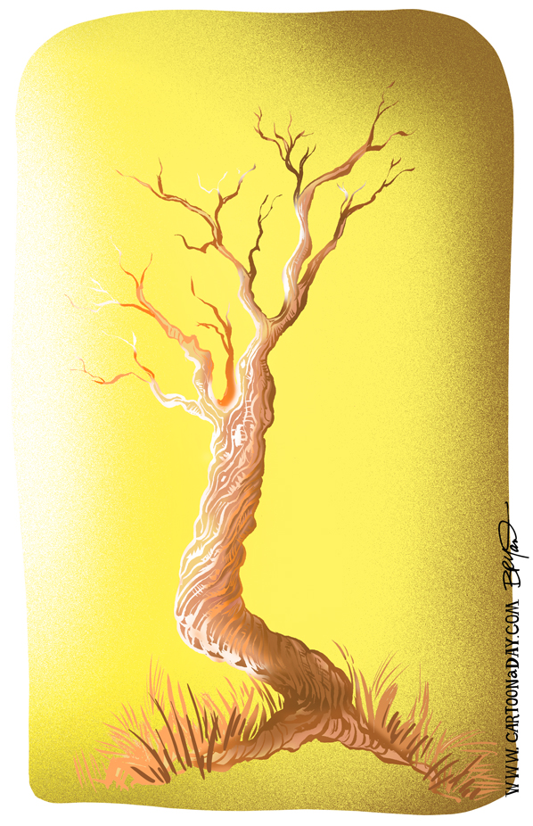 yellow-twiggy-tree-598